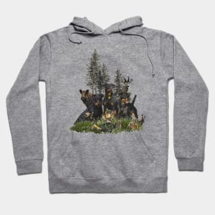 German Hunting Terrier Hoodie